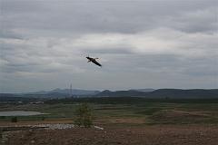Trénink Chomutov 31.07.2007 440